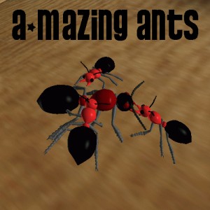 Amazing Ants