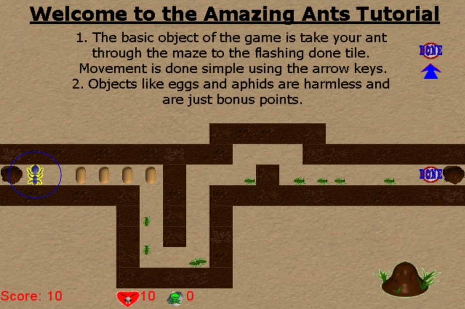 Image Amazing Ants