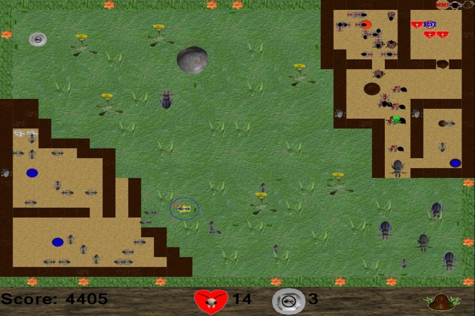 Image Amazing Ants