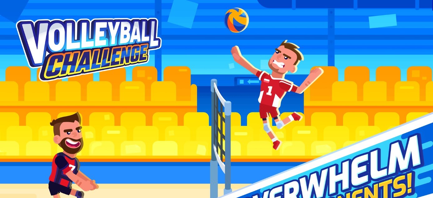 Image Volleyball Challenge